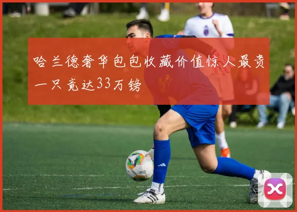 哈兰德奢华包包收藏价值惊人最贵一只竟达33万镑